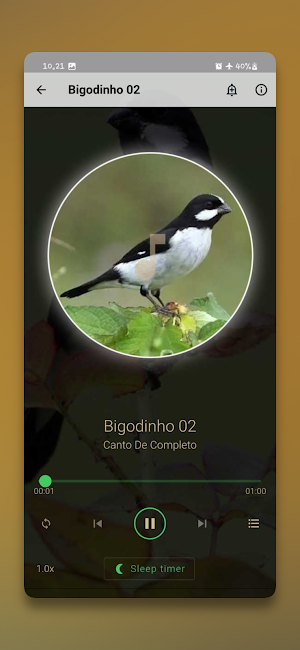Canto De Bigodinho Completo Screenshot 1