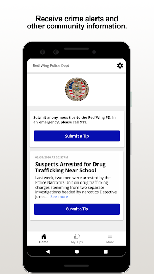 Red Wing PD Screenshot 0