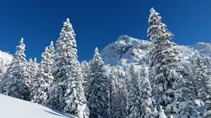 Winter wallpapers Screenshot 3