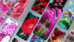 Flower Wallpapers Screenshot 0