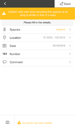 Asian Hornet Watch Screenshot 3