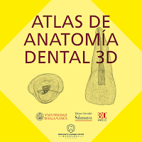 ATLAS DE ANATOMÍA DENTAL 3D