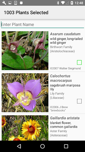 Idaho Wildflower Search Screenshot 1