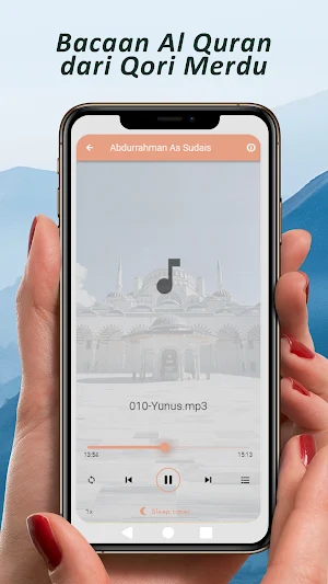 Tilawah MP3 Qori Internasional Screenshot 3