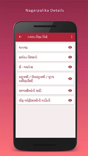 Thangadh Nagarpalika Screenshot 2