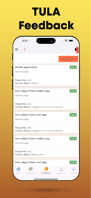 TULA IITM Screenshot 2