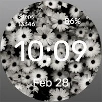 B&W daisies Watch Face