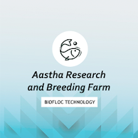 Aastha Research
