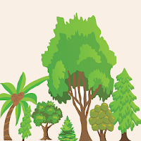Tree Identifier Quiz 2022 Ed