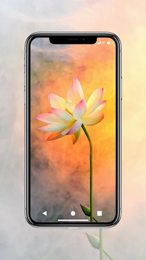 Flower Wallpaper HD Screenshot 1