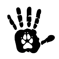 Test: Which Animal Am I?
