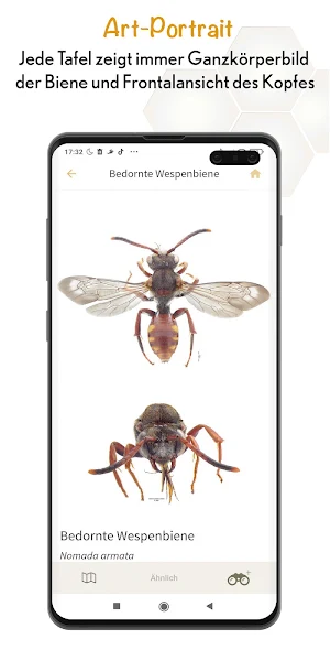 Wildbienen Id BienABest Screenshot 3
