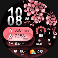 ML2U 252 Watch Face