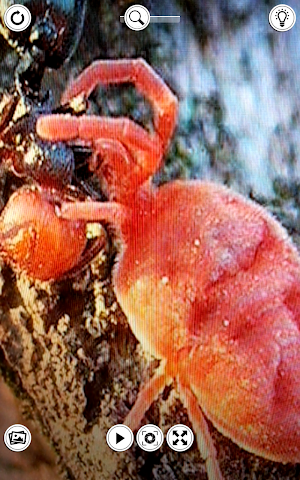Microscope Pro Screenshot 3
