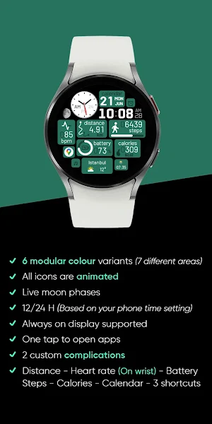Modular Colours - Watch Face Screenshot 3