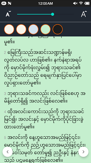 Bible Myanmar Screenshot 1