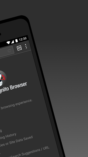 Puffin Incognito Browser Screenshot 1
