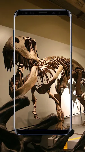 Dinosaur Wallpapers and Backgrounds Screenshot 3