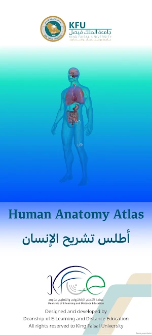 KFU AR Anatomy Screenshot 0