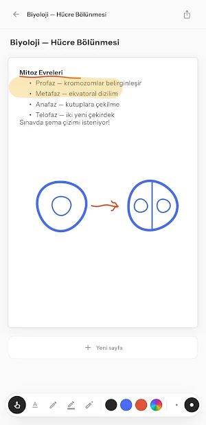 notsdaleit Screenshot 0