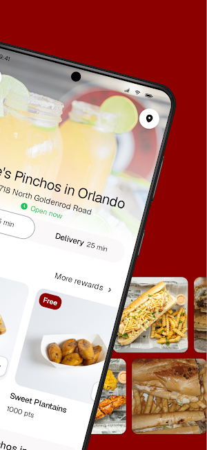 Willie's Pinchos in Orlando Screenshot 1