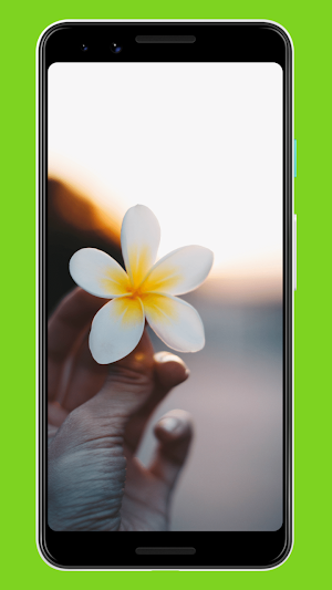 Nature Wallpapers & Background Screenshot 0