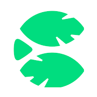 Content Jungle Curated Network