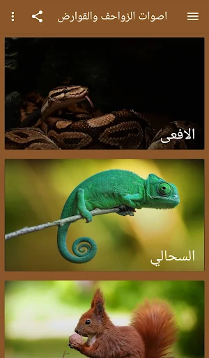اصوات الزواحف والقوارض Screenshot 0