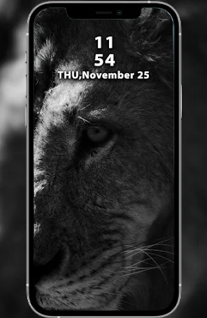 Wild Tiger & Lion Wallpapers Screenshot 3