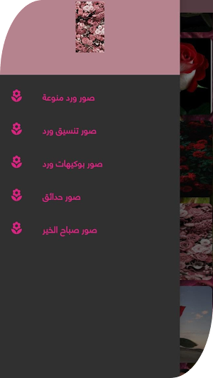 اجمل خلفيات للهاتف ورود Screenshot 0