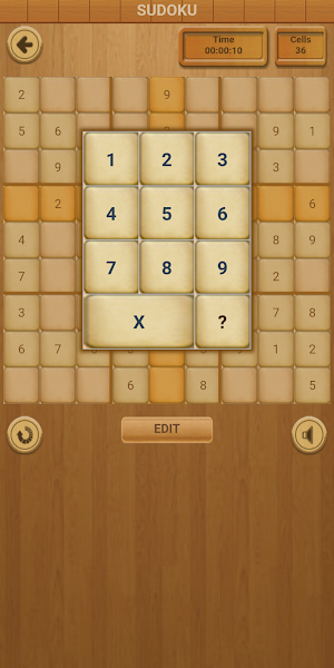 Sudoku Number Puzzle Screenshot 2