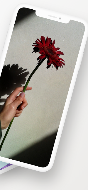 Theme for Vivo V21 Screenshot 1