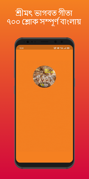 গীতা: Bhagavad Gita (Audio) Screenshot 0