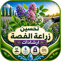 تحسين زراعة الفصة + إرشادات
