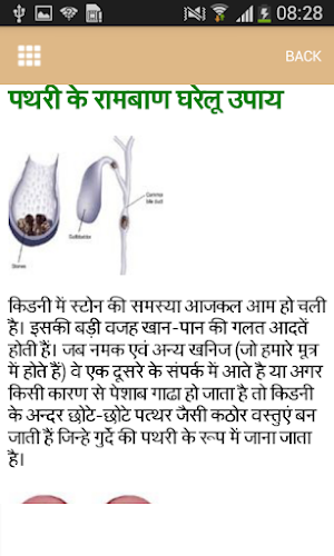 Home Remedies for Diseases Screenshot 3