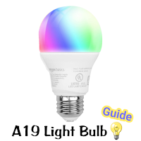A19 Light Bulb Guide
