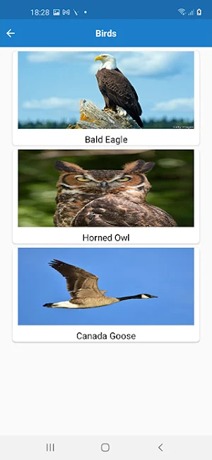 App Anims Screenshot 1
