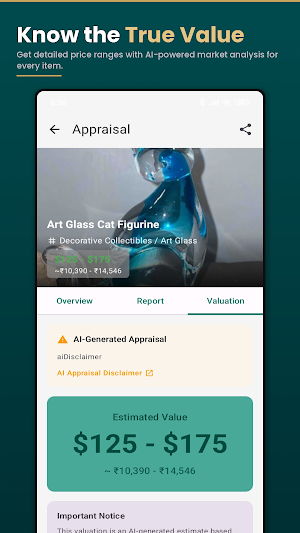 Appraiser.AI: Identify & Value Screenshot 0