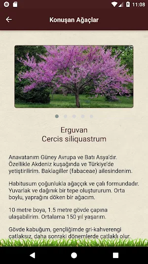 Konuşan Ağaç Screenshot 2