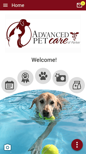 Advanced Pet Care of Parker Screenshot 0