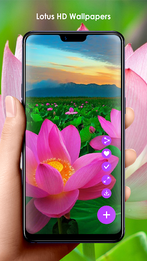 Lotus HD Wallpapers Screenshot 2