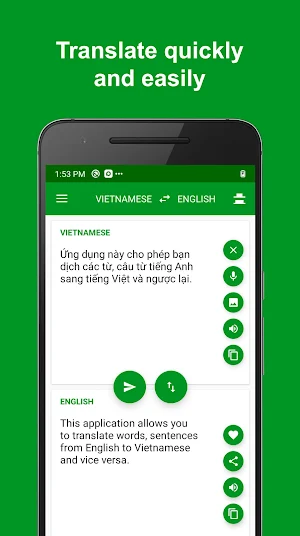Vietnamese English Translator Screenshot 0