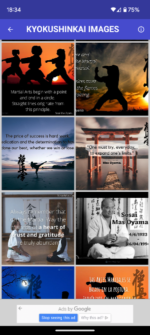 Karate Kyokushin Images Quotes Screenshot 1