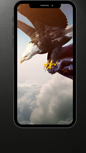 Imagenes De Aguilas HD Screenshot 3