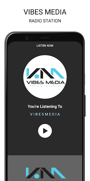 Vibes Media Belize Screenshot 1