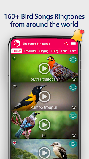 Bird Songs: Ringtones Screenshot 0