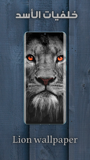اجمل صور اسد - خلفية الأسد HD Screenshot 0