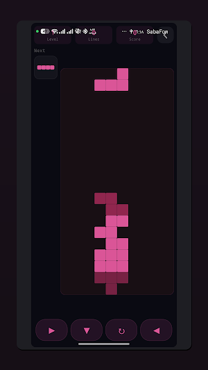 Block Puzzle Classic Screenshot 2