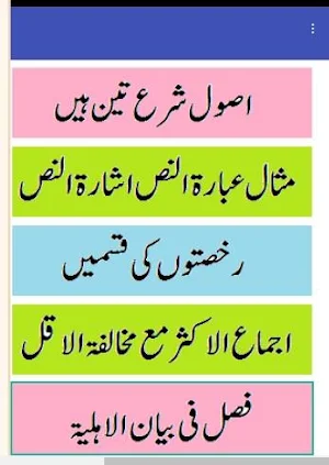 Misbah ul Husami sharah husami pdf wifaqul madaris Screenshot 0
