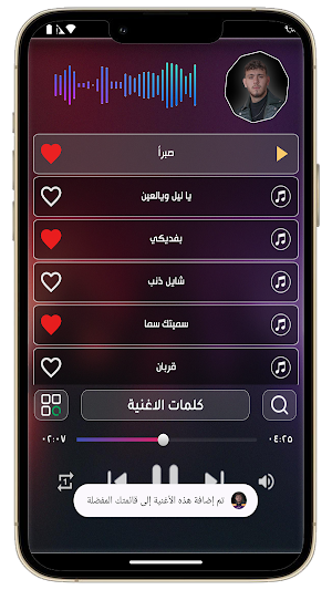 جميع اغاني الشامي بدون نت 2024 Screenshot 3